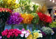 HỌC BÍ KÍP GIỮ HOA TƯƠI LÂU TRONG NGÀY TẾT  