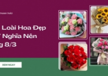 Các Loài Hoa Đẹp và Ý Nghĩa Nên Tặng 8/3
