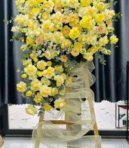 HOA KHAI TRƯƠNG - 24