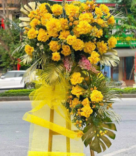 HOA KHAI TRƯƠNG - 23