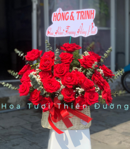 HOA KHAI TRƯƠNG - 7
