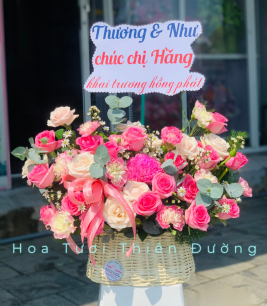 HOA KHAI TRƯƠNG - 6