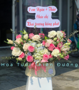 HOA KHAI TRƯƠNG - 5