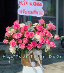 HOA KHAI TRƯƠNG - 4