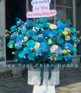 HOA KHAI TRƯƠNG - 3