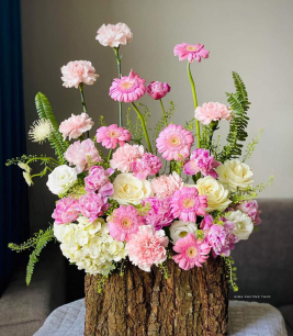 HOA KHAI TRƯƠNG - 2