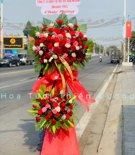 HOA KHAI TRƯƠNG - 14