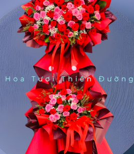 HOA KHAI TRƯƠNG - 12