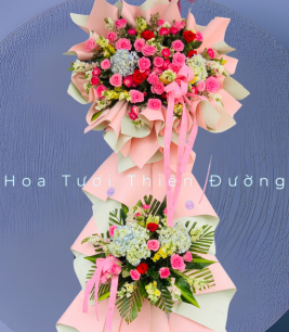 HOA KHAI TRƯƠNG - 11