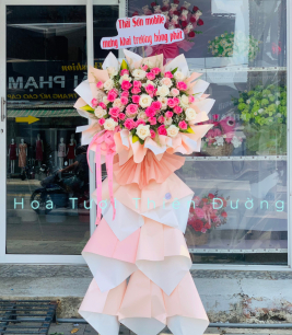 HOA KHAI TRƯƠNG - 13