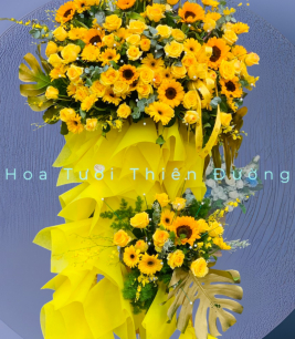 HOA KHAI TRƯƠNG - 8