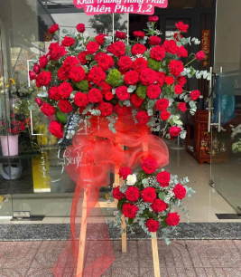 HOA KHAI TRƯƠNG - 22