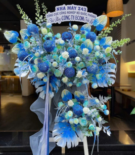 HOA KHAI TRƯƠNG - 18