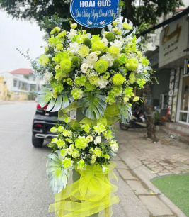 HOA KHAI TRƯƠNG - 30