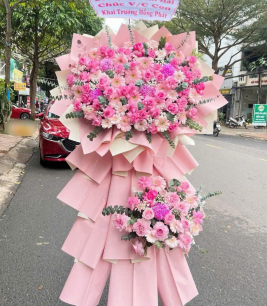 HOA KHAI TRƯƠNG - 31