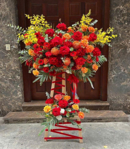 HOA KHAI TRƯƠNG - 28