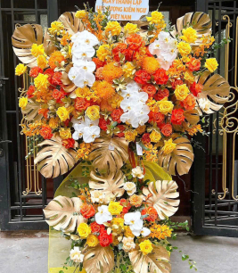 HOA KHAI TRƯƠNG - 27