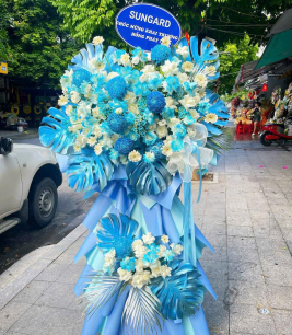 HOA KHAI TRƯƠNG - 29