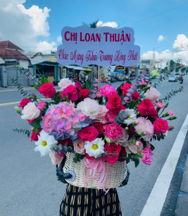 HOA KHAI TRƯƠNG - 32