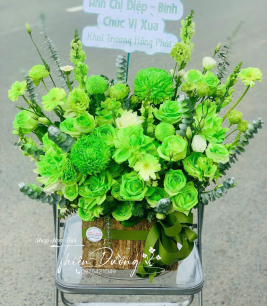 HOA KHAI TRƯƠNG - 33