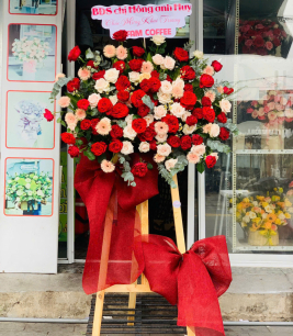 HOA KHAI TRƯƠNG - 35