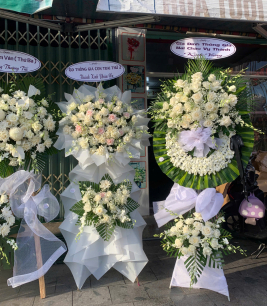 HOA CHIA BUỒN - 28