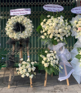 HOA CHIA BUỒN - 27