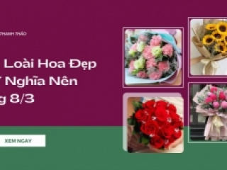 Các Loài Hoa Đẹp và Ý Nghĩa Nên Tặng 8/3
