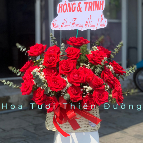 HOA KHAI TRƯƠNG - 7