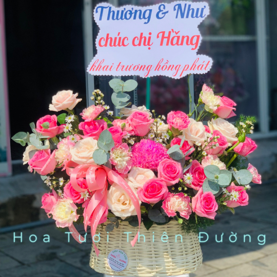 HOA KHAI TRƯƠNG - 6