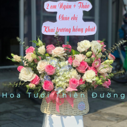 HOA KHAI TRƯƠNG - 5