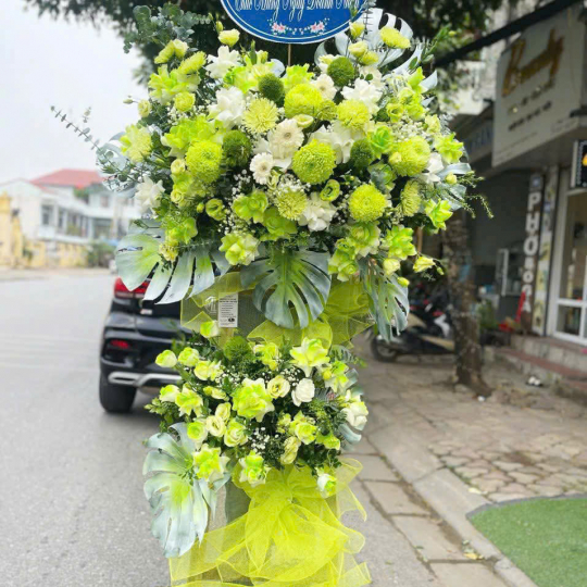HOA KHAI TRƯƠNG - 30