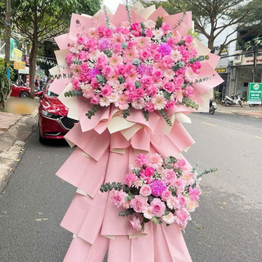 HOA KHAI TRƯƠNG - 31