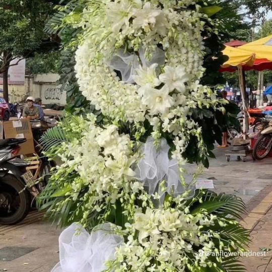 HOA CHIA BUỒN - 25