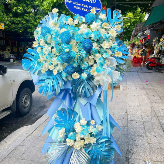 HOA KHAI TRƯƠNG - 29