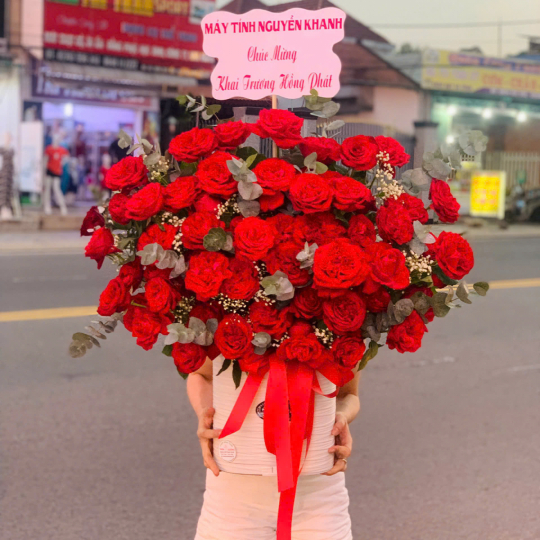 HOA KHAI TRƯƠNG - 345