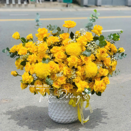 HOA KHAI TRƯƠNG - 41